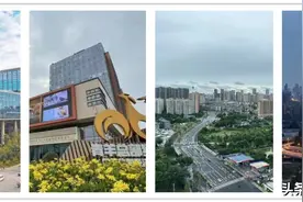 前瞻2023丨四大板块东西对决，会不会诞生下一个网红盘？图片