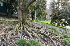 不用花钱一招制服“尿不尽”并享奇效图片