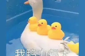 可爱表情包| 我压力很大图片