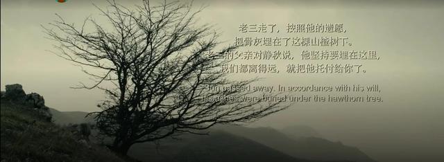电影《山楂树之恋》观后感