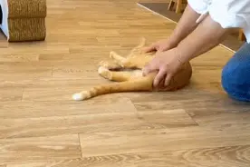 每日一笑，今天她要嫁给我图片