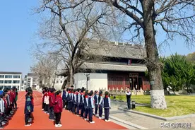 测量古树“身高”、更新古树“身份证”......百年古银杏下，苏州孩子开课啦！图片