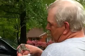 20年的功德笑没了，人类放生失败冥场面图片