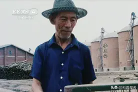 1990年，黑龙江一老农拿着课本找到军部：我就是书里牺牲的志愿军图片