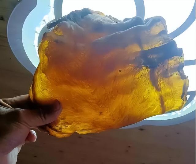 真的花胶贵吗 真的花胶贵吗能吃吗
