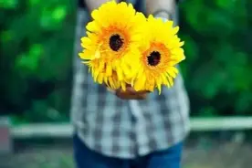 人到中年，请收起你的“金钱”图片