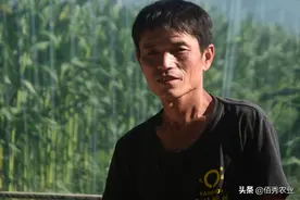 安徽农民创种养结合新模式，缓解化肥涨价压力，低成本农业有潜力图片