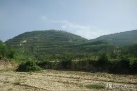 最坎坷的皇太子，当30年太子却死于非命，孙子登基创造西汉盛世图片