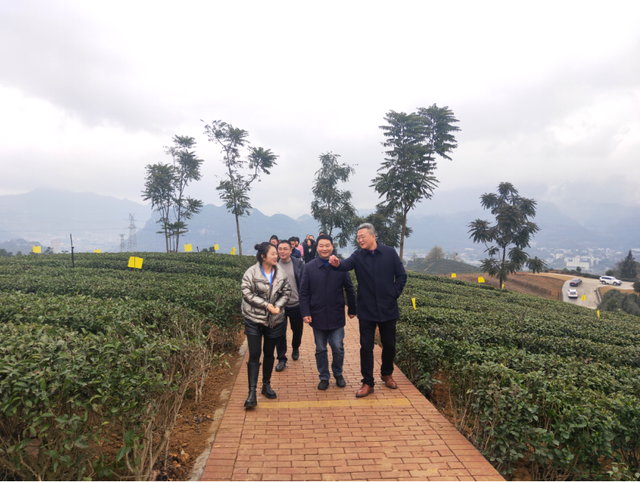 四川省民生研究会新媒体中心-官网