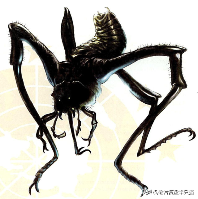 盘点《星河战队》虫族兵种，从低级兵，讲到女王和虫神
