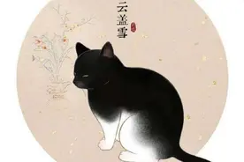 中国人养猫已有几千年历史，古代铲屎官又是如何养猫的呢？图片