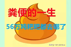 粑粑去哪了？每天产生的56万吨粪便是怎么处理的？图片