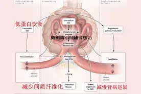 特别适合肾友的主食，控制尿蛋白，延缓肾衰竭！告诉需要的朋友图片