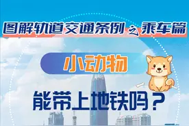图解轨道交通条例之乘车篇 | 小动物能带上地铁吗？图片