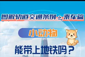 图解轨道交通条例之乘车篇 | 小动物能带上地铁吗？图片