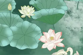 荷花开啦！宜昌这些免费赏荷地，你去过吗？图片