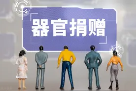 人体器官捐献指南图片