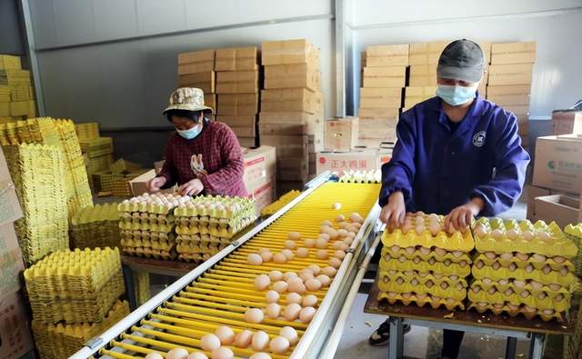 四川省民生研究会新媒体中心-官网