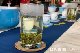 一年之茶在于春！2023年新茶已少量上市，想喝好茶还需再等等图片