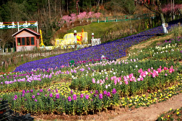 四川省民生研究会新媒体中心-官网