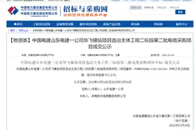 河南胜华电缆集团中标中国电建山东电建一公司华飞镍钴项目图片