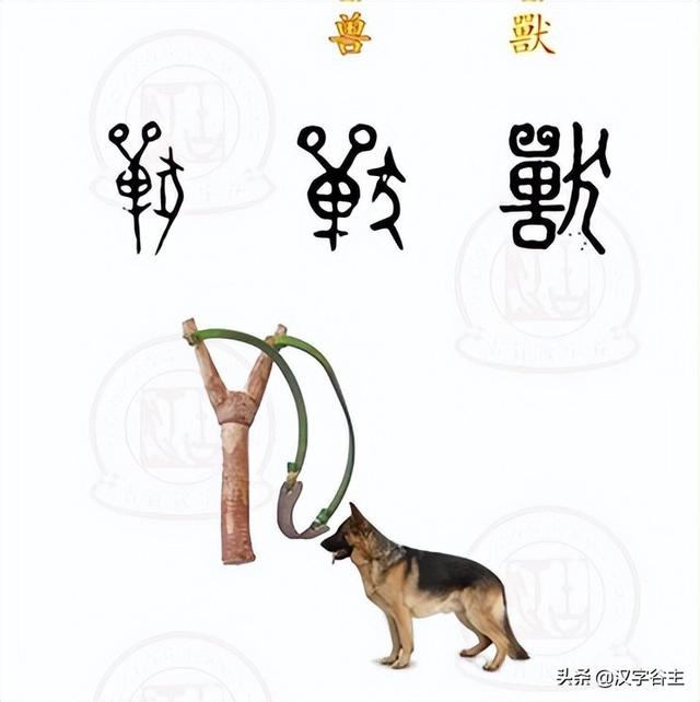 汉字动物：何为“禽”？何为“兽”？“禽”与“兽”如何区别？