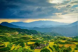 朱有勇院士提出的“水稻上山”，为何会引起质疑？到底靠不靠谱？图片