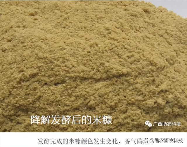 研究表明米糠的营养价值高富含优质蛋白质和膳食纤维，发酵后更好