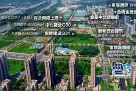 凉！南京楼市残酷真相曝光，一批新房卖不动，也包括河西，大校场图片