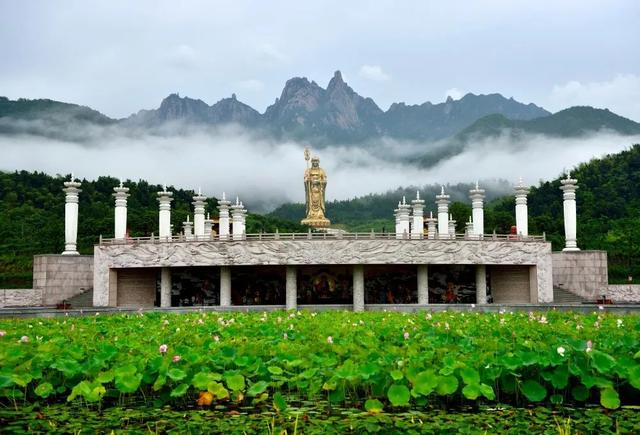 拍点发现 | 今年夏天,去这些地方拍荷花