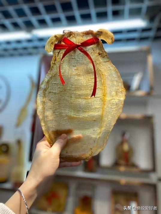 大口赤嘴鱼胶 2026年大口赤嘴鱼胶图片