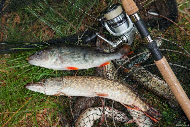 ����������ߡ����������֮·�ǰ���