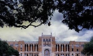 团队建设方案策划，企业网站建设策划方案怎样撰写