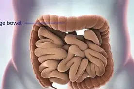 揭秘！医生给女生做直肠指检的全过程图片