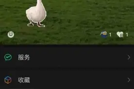 微信状态栏可以养宠物啦图片