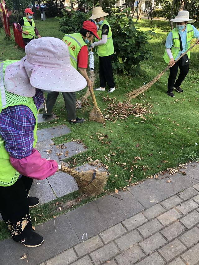 建党101周年东湖新技术开发区豹澥街分类专班黄金堂社区开展活动