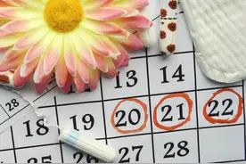 卫生巾需要多久换一次？经期可以同房吗？这些生理知识要了解清楚图片