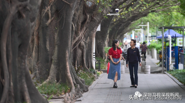 二十大报告里出现了深圳人最熟悉的这句话