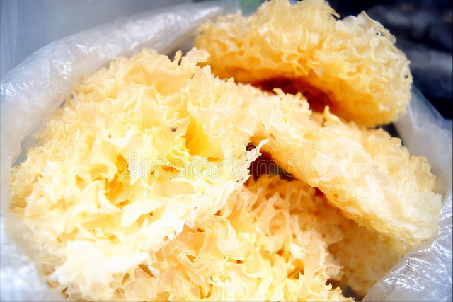 女人吃花胶最能补充胶原蛋白吗 2026年女人吃花胶最能补充胶原蛋白吗为