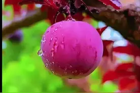青春故事：近视眼（上）图片