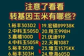 终于有人把转基因玉米，整理出来了，看看有哪些？仅供参考图片