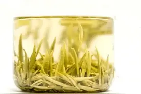 线上小品牌茉莉花茶行不行？口良2022茉莉花茶评测图片