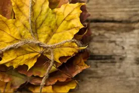 人如饮水，冷暖自知图片