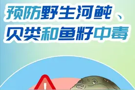 鱼籽引起中毒？美味的鱼杂还能吃吗？图片