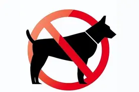 这些狗，已被列入“禁养名单”，谁买谁浪费钱图片