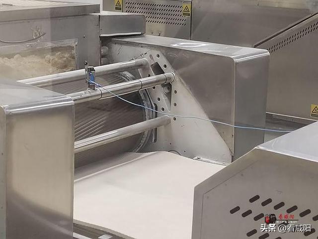 走进武功县金沙河超大型粮食综合加工基地|金沙河：小麦粒大能量 “变形”变出高质量