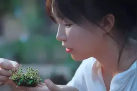 决裂531天后，资本斗士李子柒，为何还是妥协了？图片