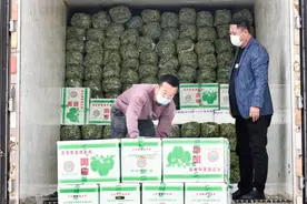 卧虎藏龙的菜市场：有人年销过亿，有人20年赚10套房，有人成画家图片