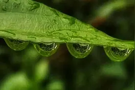 为什么一个女人想你却不来找你图片