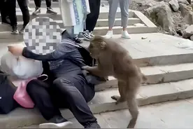 笑不活了！峨眉山的猴子被外国大汉收拾了，网友的评论笑死我了图片